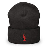 TSFH Red Icon Cuffed Beanie TSFH Red Icon Cuffed Beanie