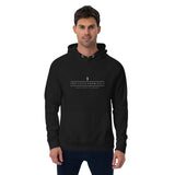 TSFH Unisex eco raglan hoodie TSFH Unisex eco raglan hoodie