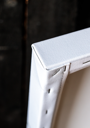 Image Title Unleashed Canvas Print - Limited Edition #1