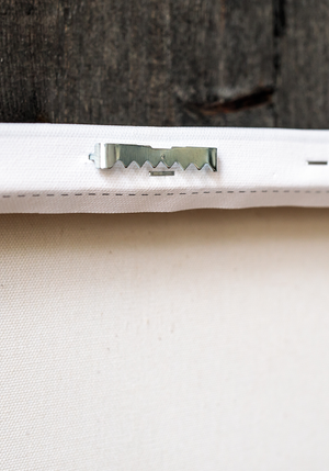 Image Title Unleashed Canvas Print - Limited Edition #1